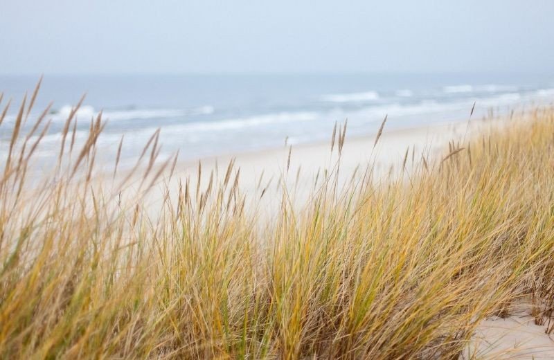 La côte en général